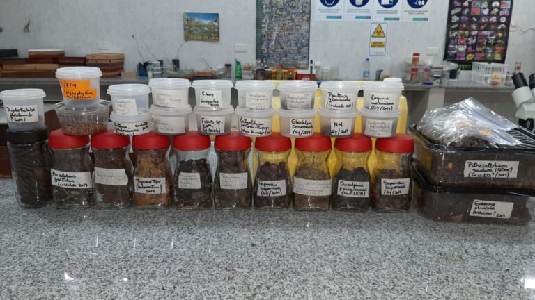 Formosa: el papel del nuevo Banco Universitario de Germoplasma en la conservación de la biodiversidad del Chaco Argentino
