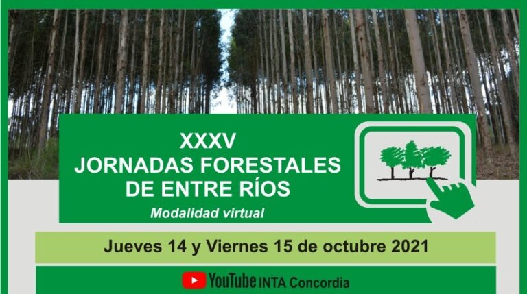 Agenda Virtual: Energías renovables y Construcción con Madera, temas de las Jornadas Forestales de Entre Ríos