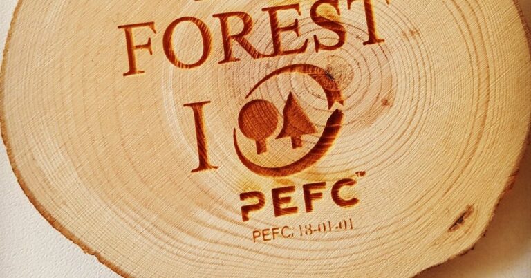 Por el conflicto bélico, suspenden certificaciones PEFC a la madera originaria de Rusia y Bielorrusia