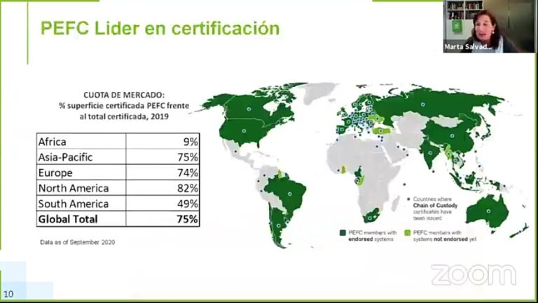 PEFC Argentina: grupos PyMEs se unieron para lograr la certificación en gestión forestal sostenible en plantaciones, madera y subproductos