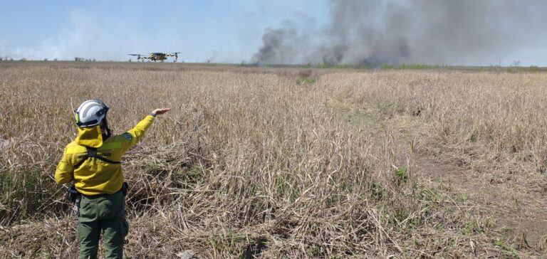 Entre Ríos: fueron extinguidos los incendios en la zona de San Nicolás