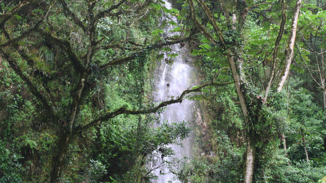Perú: Avireri-Vraem fue declarada como nueva Reserva de Biosfera de la UNESCO