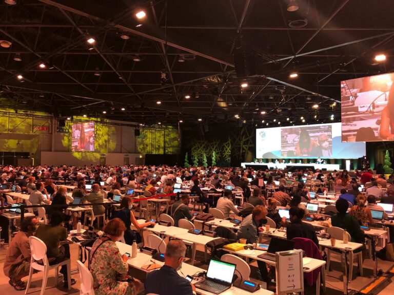 UICN 2021: El Congreso Mundial de la Naturaleza cerró con un llamado a la recuperación post-pandemia basada en la naturaleza