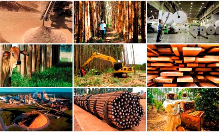 Brasil: la cartera de inversiones en el sector forestal al 2024 supera los R$ 50 mil millones en el Estado de Bahía y esperan atraer nuevos proyectos verdes