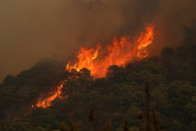 España: murió un bombero forestal en la extinción del incendio de Sierra Bermeja en Málaga