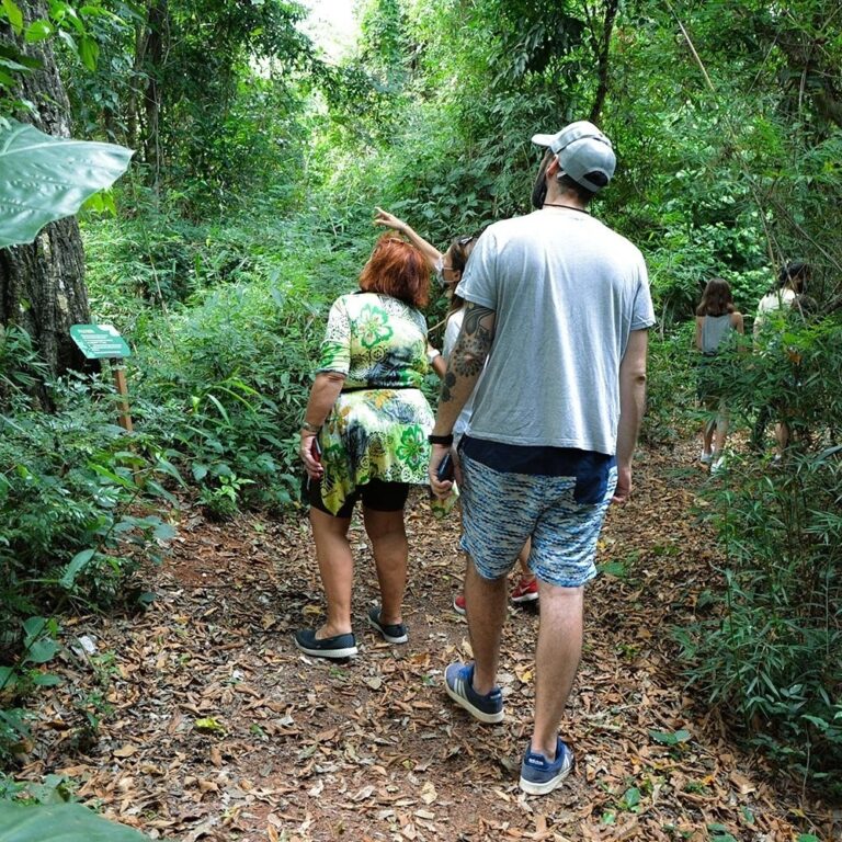 Naturaleza: la Argentina fue elegida como «Destino líder de América del Sur» en los World Travel Awards