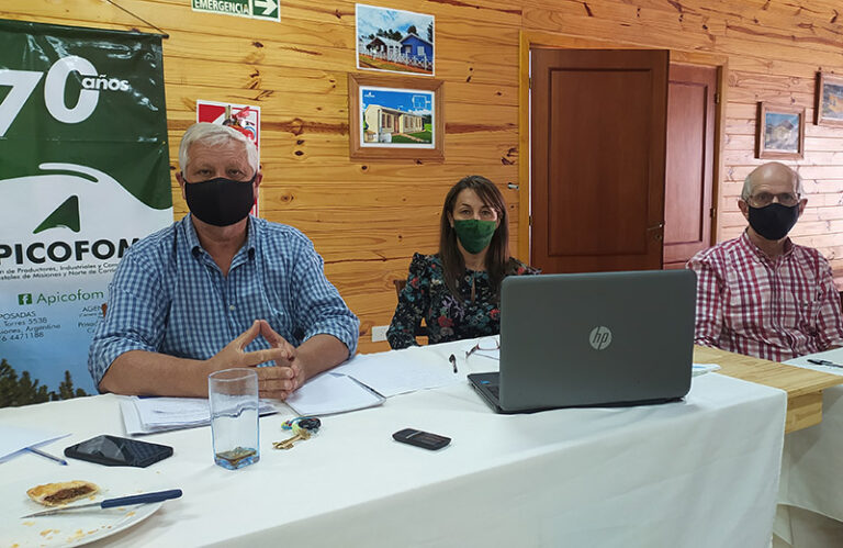 Impuestos, financiamiento y capacitación para recuperar competitividad en la industria forestal en la agenda de APICOFOM
