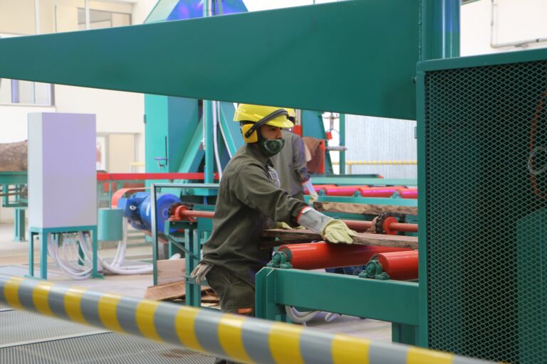 Santiago del Estero | Taller de «Formación de Formadores» para impulsar la construcción con madera en el país