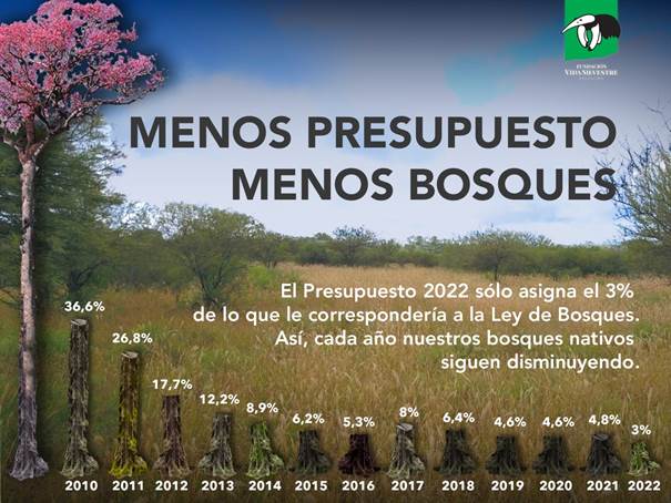 Presupuesto 2022: el Gobierno Nacional pide canjear deuda por conservación y cuidado del ambiente, pero destina una cifra insólita para la protección de los bosques nativos