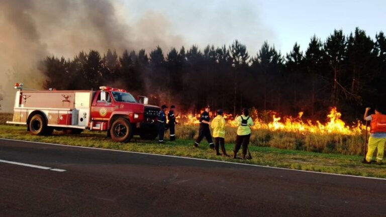 Corrientes con seis municipios afectados por incendios forestales en la última semana