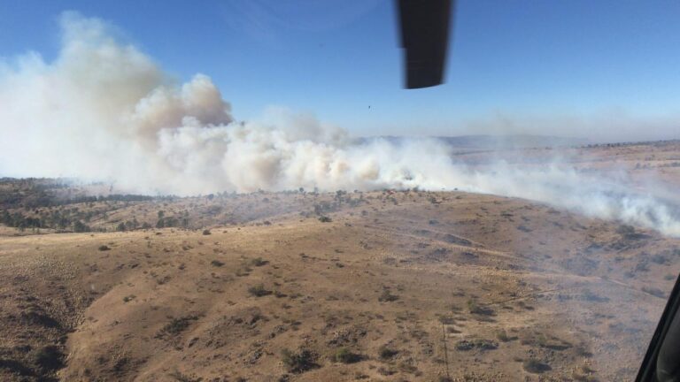 Córdoba: tras cinco días de tarea, contuvieron el incendio en La Paz iniciado por la caída de un rayo