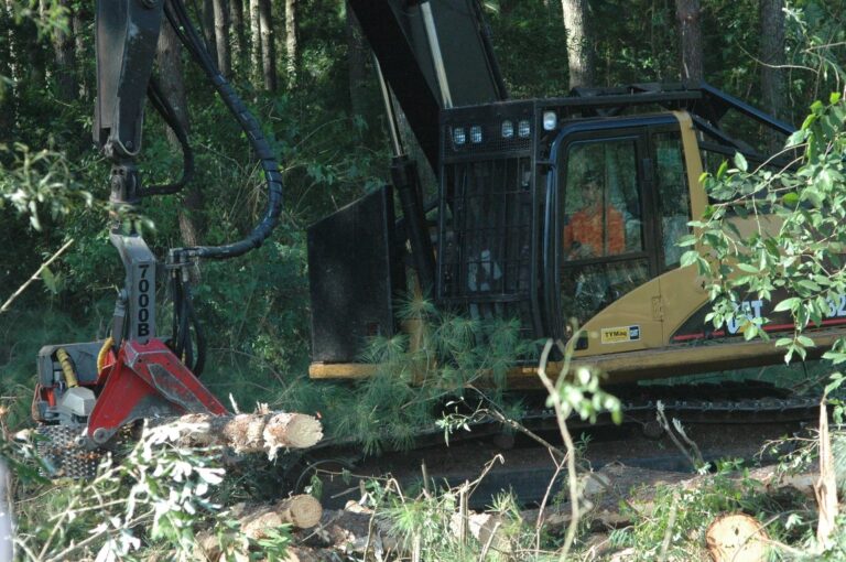 Virasoro: abierta la convocatoria para capacitación de uso de procesadores de cosechas forestales