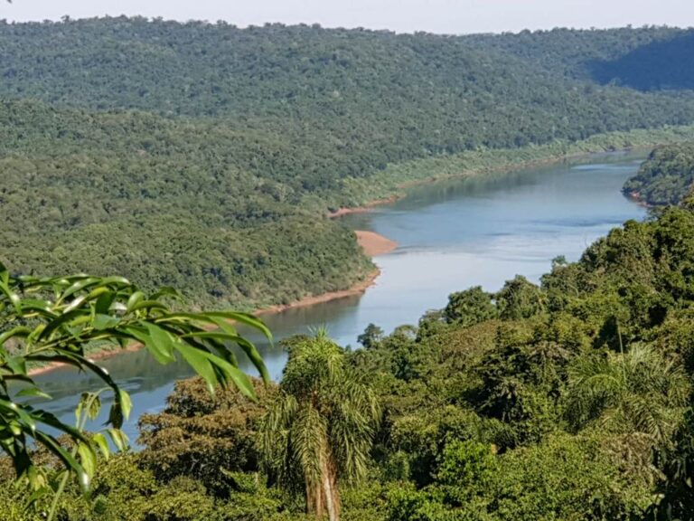 Bosques nativos | ECO2, el programa de beneficios por Servicios Ambientales que diseña Misiones inicia un nuevo ciclo de diálogo y capacitación