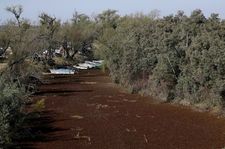 Sequía extrema del Río Paraná: señalan tres problemas inesperados que afectarán en Sudamérica