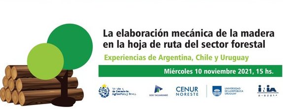 Agenda Virtual: conferencias sobre la experiencia de Argentina, Chile y Uruguay en la elaboración mecánica de la madera