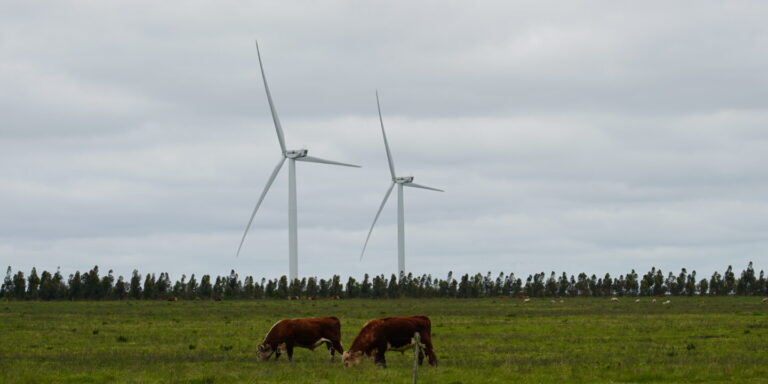 Uruguay camino hacia una economía carbono neutral