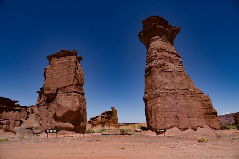 La Rioja: avanzan en acciones del Plan «Casa Común» proyectadas en las áreas naturales del Parque Nacional Talampaya