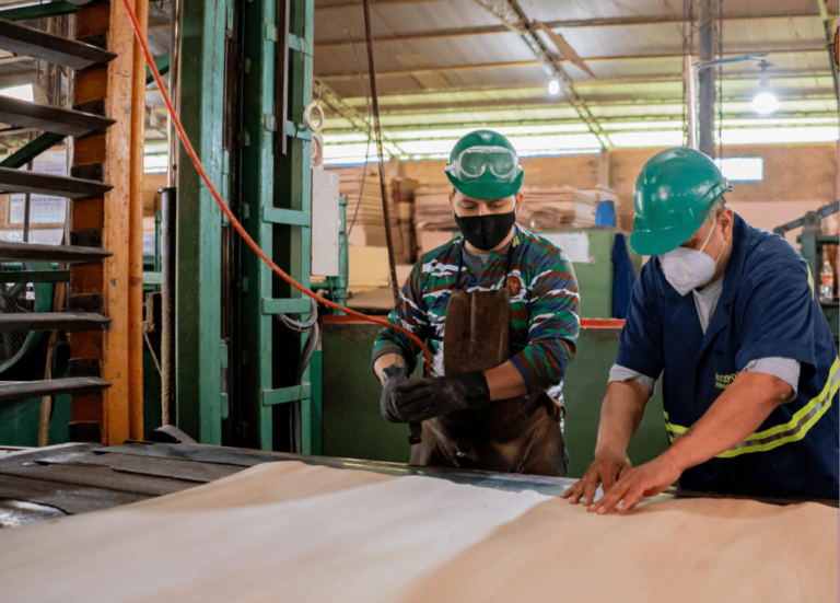 Paraguay: la industria maderera requiere de la creación de un Fondo de Garantía Forestal