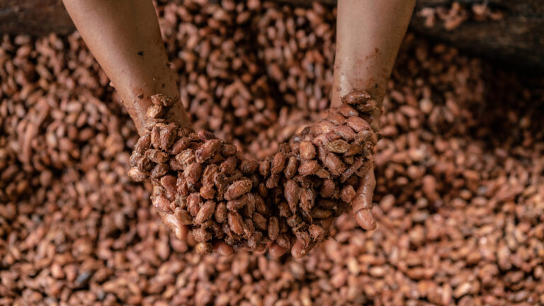 WWF: conservación y desarrollo con emprendimientos de indígenas y campesinos que cuidan la Amazonia
