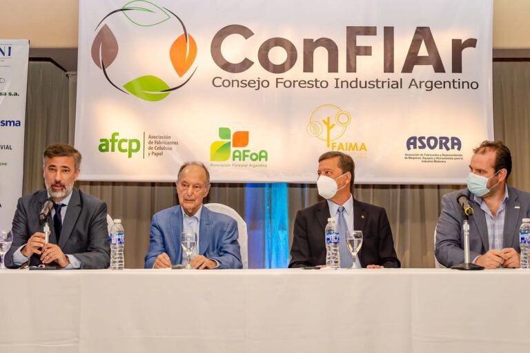 Perspectivas 2022: la cadena foresto-industrial argentina apuntará a lograr consenso para avanzar en una ley de grandes inversiones y fondo de Seguro Verde