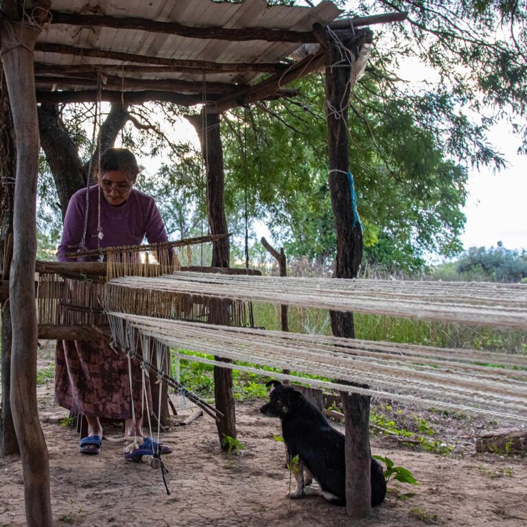 Herederos de saberes: la historia de artesanos y artesanas de la naturaleza que habitan en el área del Impenetrable