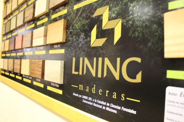 La obereña Lining donó un muestrario inédito de especies nativas madereras de Misiones