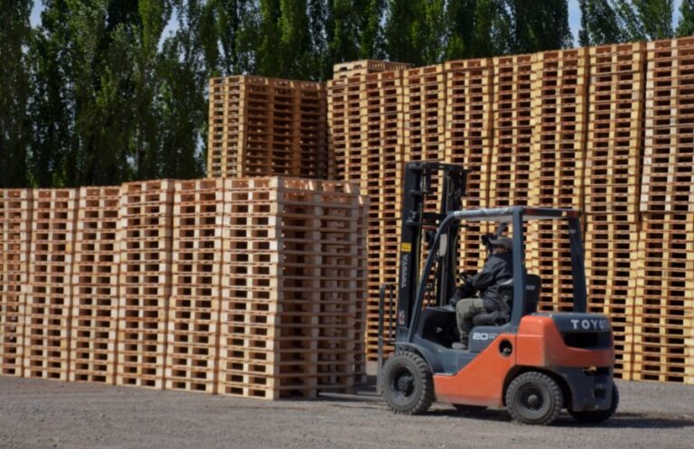 CAFEMA: sostienen que los insumos en la industria maderera de la región del sur país subieron un 70%