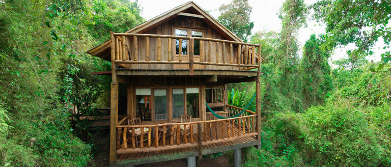 Tendencia global: alojamientos en lugares con bosques nativos y áreas naturales protegidas son los destinos más elegidos para opciones de «viajes sustentables»