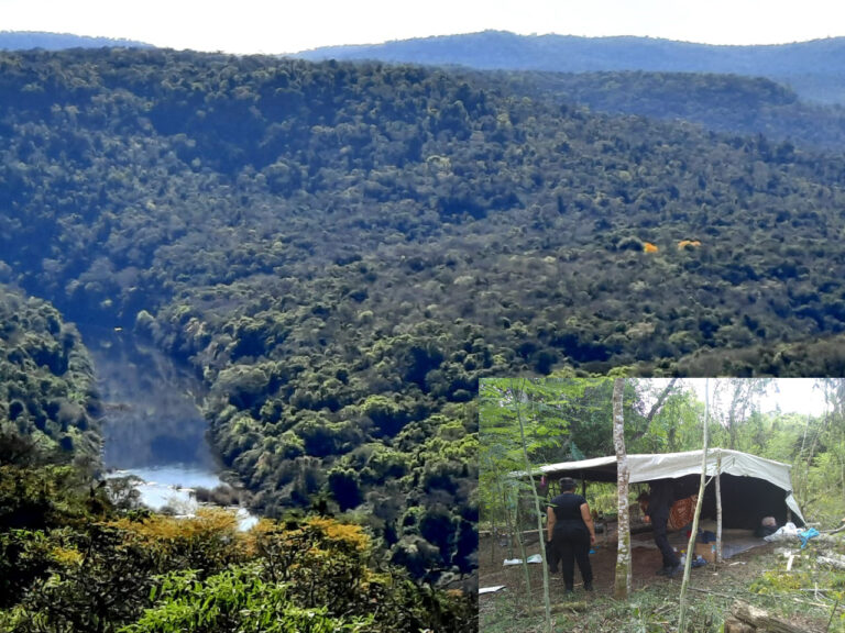 Reserva de Biosfera Yabotí: denunciaron cuatro usurpaciones en los últimos 14 días, advierten sobre organizaciones delictivas y preocupación por el alto riesgo de daños ambientales