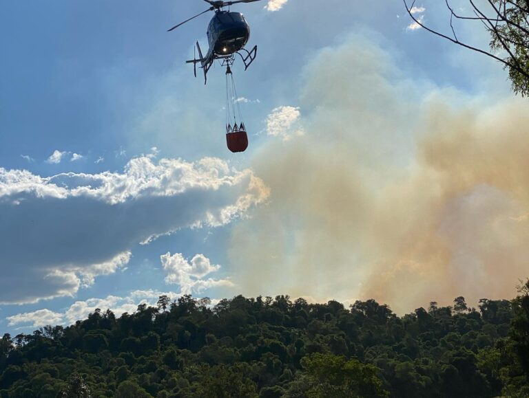 #AlertaMisiones: por los incendios simultáneos en la provincia, el gobierno dispuso la emergencia ígnea por 180 días
