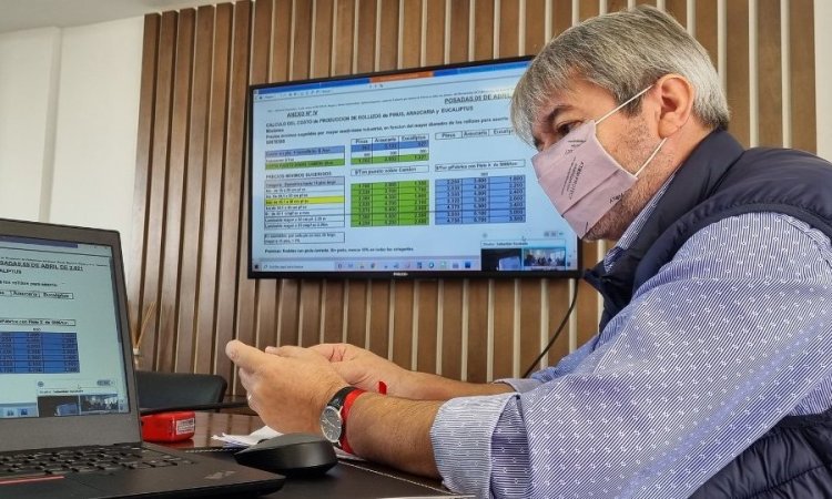 Reflexiones por los 25 años del colegio de profesionales de Ingeniería Forestal