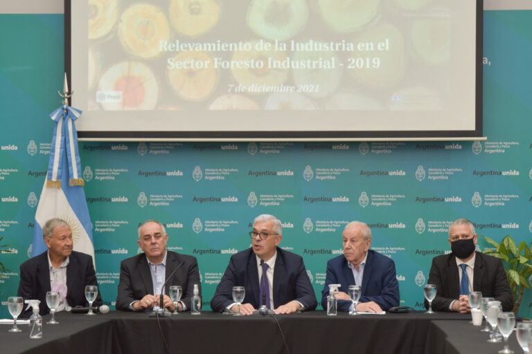 Agricultura presentó información para la planificación foresto-industrial y nuevo programa para plantar 100 millones de árboles en el país