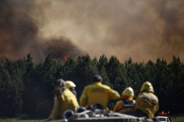 Incendios forestales | La Pampa, Río Negro y Santa Fe con incendios activos, mientras que Corrientes, Misiones y Río Negro siguen con focos controlados