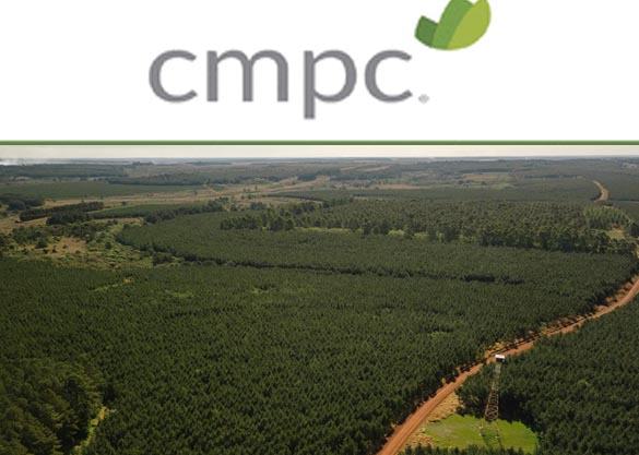 Forestal Bosques del Plata SA busca Encargado/a de Protección Forestal y Administración Predial