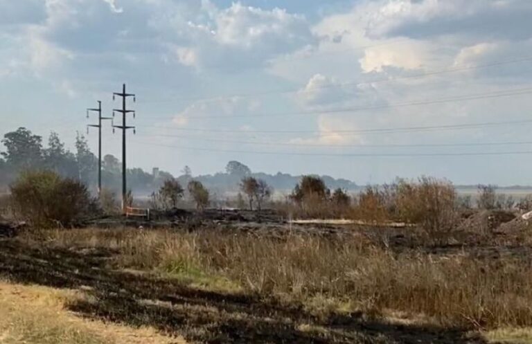 Ola de calor e incendios generaron colapsos en el sistema energético del NEA