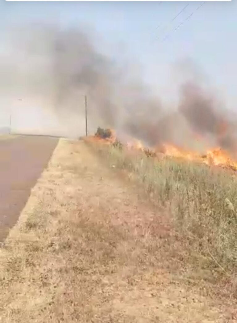 Corrientes en llamas: cortes de energía y agua en algunas localidades complican aún más la crítica situación de la provincia por los incendios
