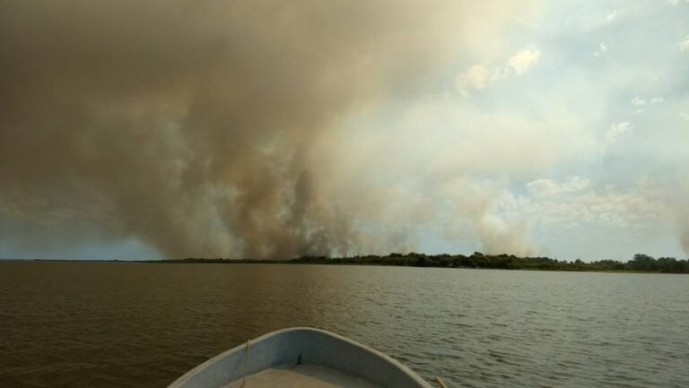 Corrientes: incendio forestal en el Parque Provincial Iberá afectó 600 hectáreas