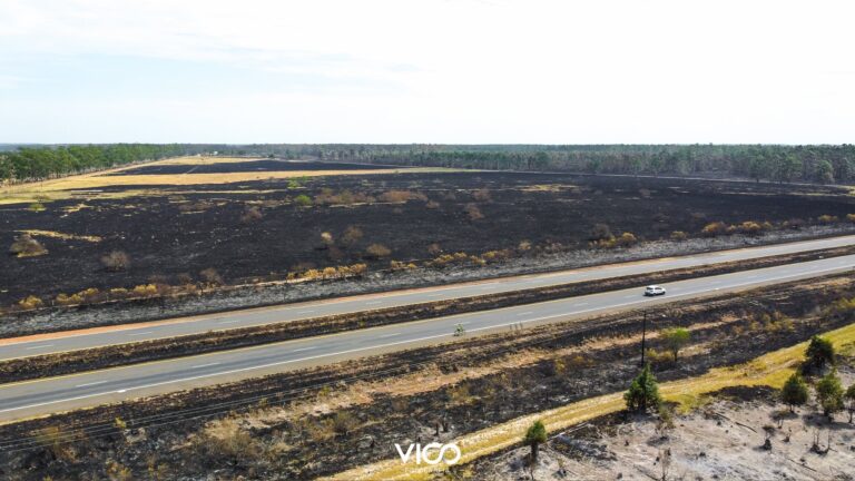 Incendios forestales en Corrientes: se quemaron más de mil hectáreas en Paso de los Libres y trabajan intensamente para controlar un foco al costado de la Ruta 14