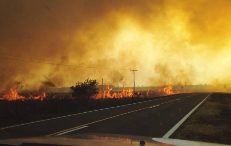 En medio de altas temperaturas, los combates contra los incendios forestales persisten en el país
