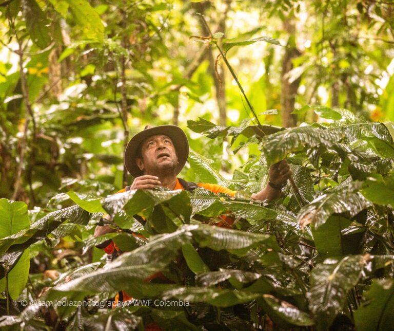Colombia: Despiden con pesar a Dairon Cárdenas, el botánico que dedicó su vida a crear una de las colecciones de plantas amazónicas más importantes para Latinoamérica