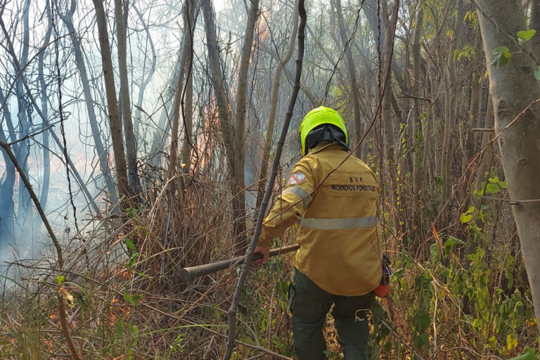 Entre Ríos en llamas: trabajaron intensamente este domingo para combatir los incendios en la isla Puente y en estancias privadas
