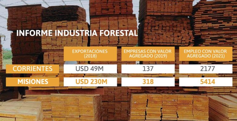 Adolfo Safrán, ministro de Hacienda de Misiones: «La industria forestal de la provincia es más pujante y robusta que la correntina»