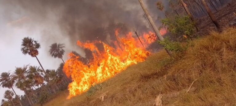 Formosa en llamas: a los focos de incendios en todo el territorio se suma la falta de agua y cortes de energía en la provincia