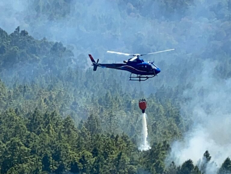 Misiones | Se aplicarán multas millonarias y sanciones ejemplares a responsables de iniciar incendios rurales y forestales en condiciones de extremos peligro 