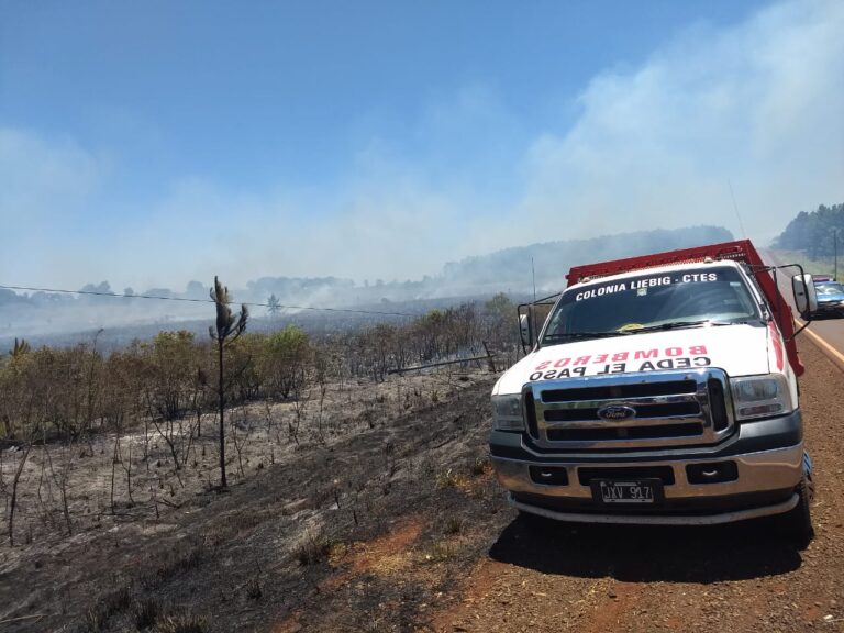 Corrientes entre las cinco provincias del país con incendios forestales y alerta extrema