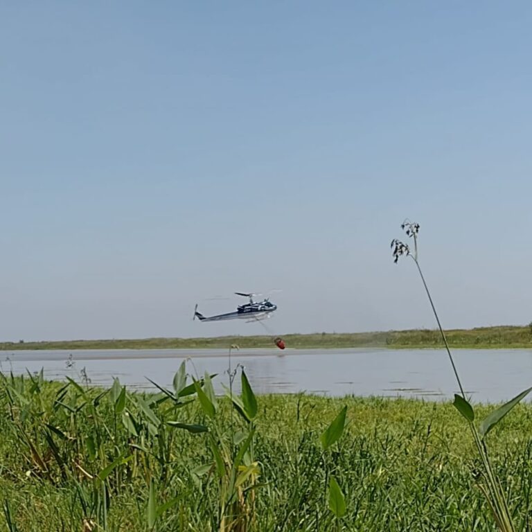 «Los incendios en el Delta y Lago Puelo fueron extinguidos», informaron desde el ministerio de Ambiente