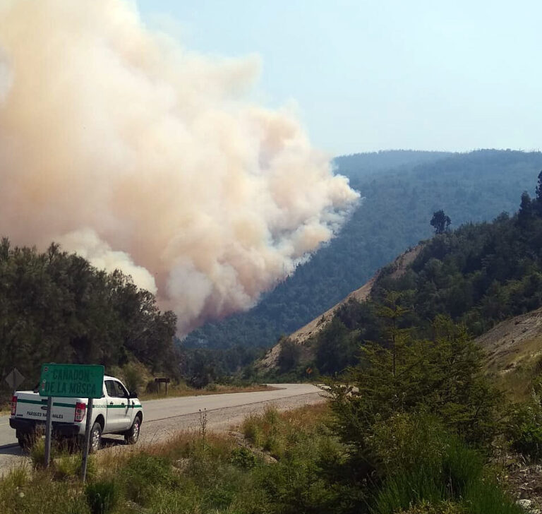Especialistas de FAIMA estiman las pérdidas económicas por los incendios forestales: «Ascienden a 3.850 billones de pesos»