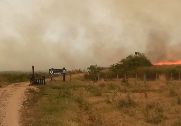 Corrientes en llamas | Hace 13 días luchan contra un dantesco incendio de pastizales : se quemaron más de 10 mil hectáreas y cruzó al Parque Nacional Iberá