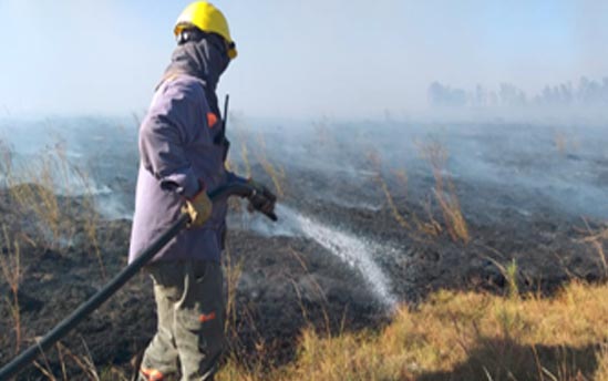 Corrientes en llamas: brigadistas, bomberos y vecinos lograron controlar el incendio rural  de Tapebicuá, pero los focos siguen activos en varias localidades 