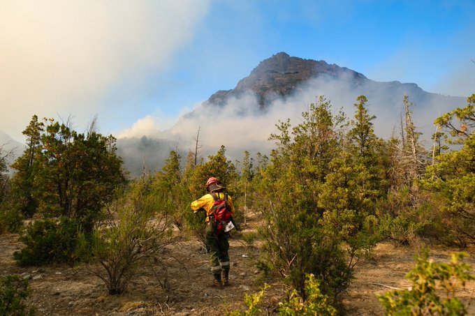 Patagonia en llamas II: más de 6 mil hectáreas de bosques de la zona del Parque Nacional Nahuel Huapi fueron arrasadas por el fuego